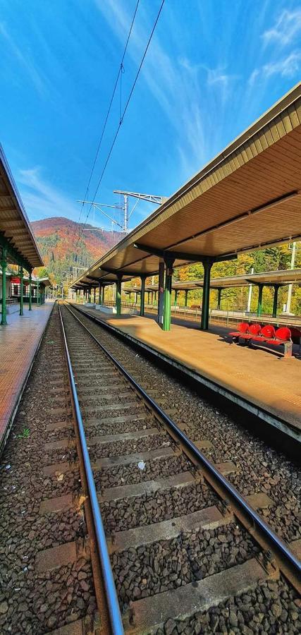 Bubbles Studio Sinaia With Terrace エクステリア 写真