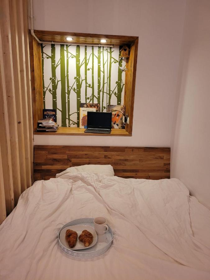 Bubbles Studio Sinaia With Terrace エクステリア 写真