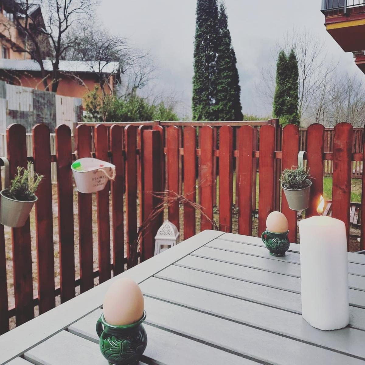 Bubbles Studio Sinaia With Terrace エクステリア 写真