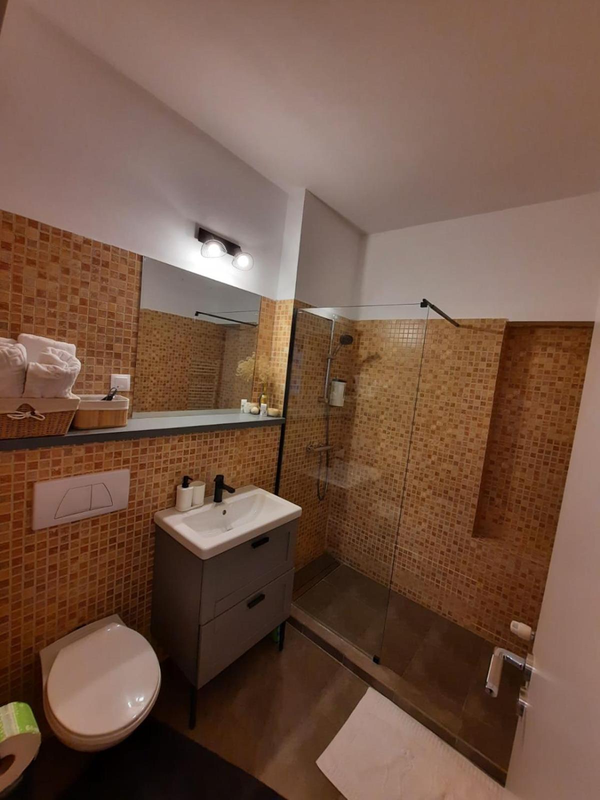 Bubbles Studio Sinaia With Terrace エクステリア 写真